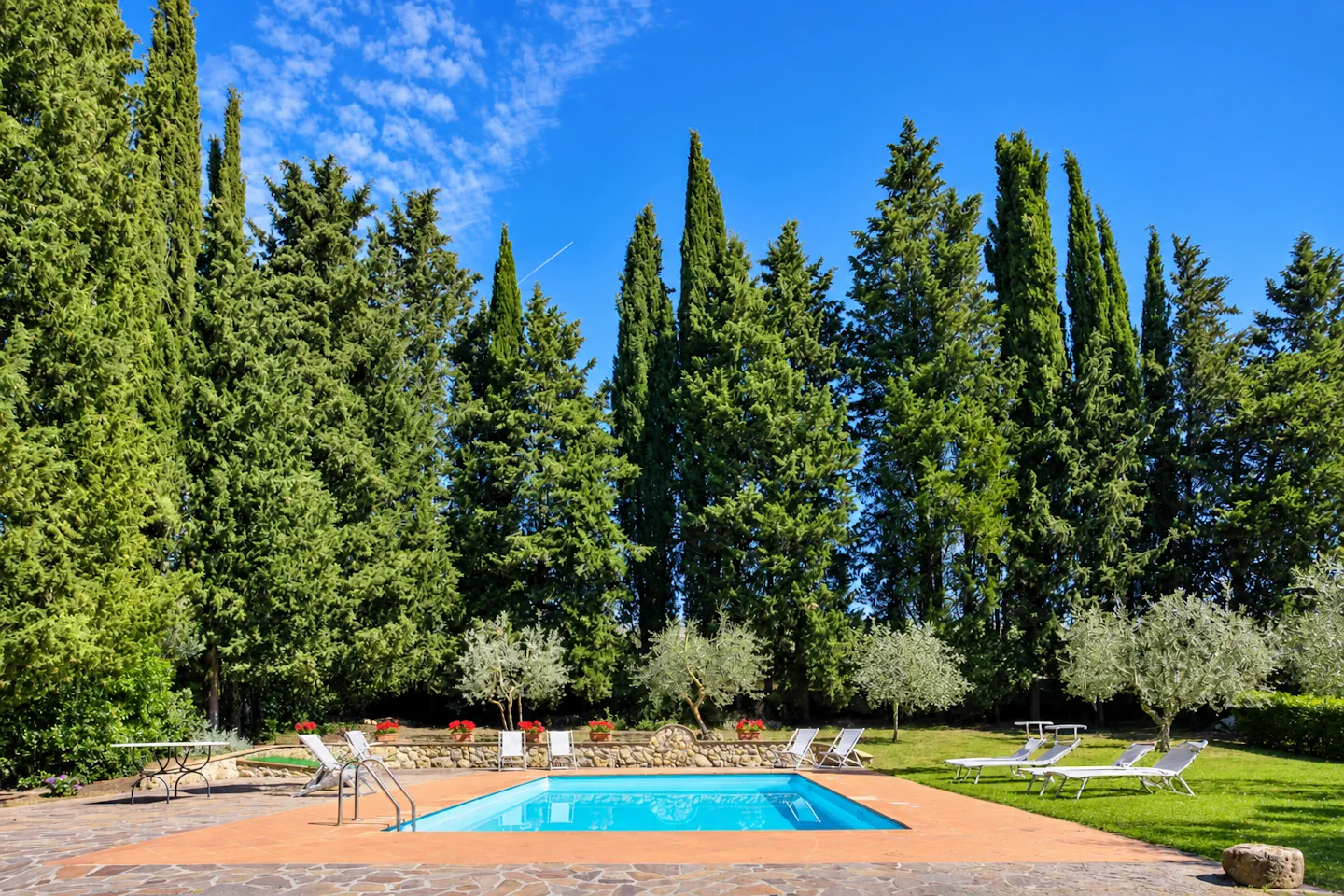 Private swimming pool at Villa Vianci surrounded by cypress trees
